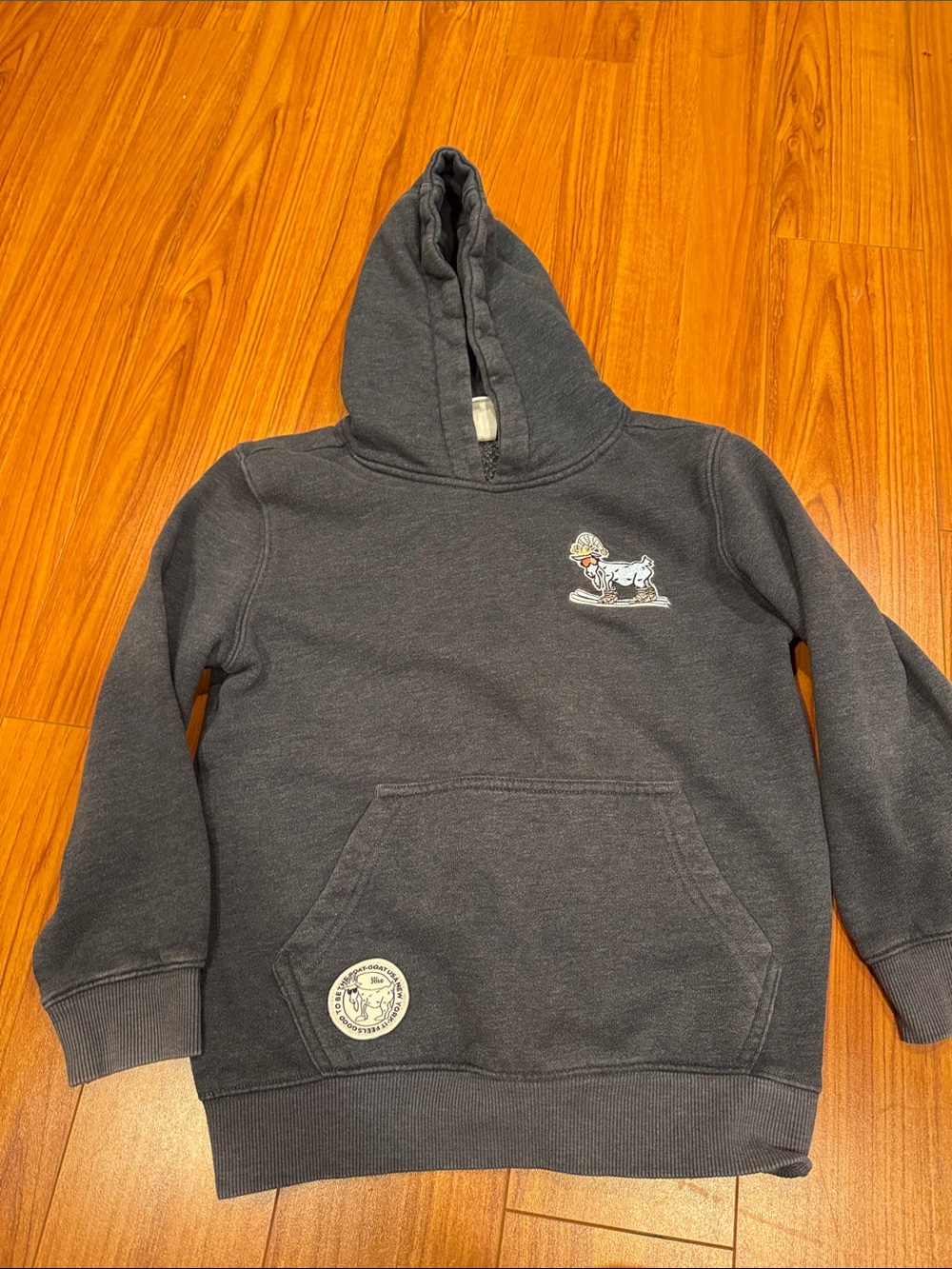 GOAT USA Kids Charcoal Gray Pullover Hoodie with goat in skis.